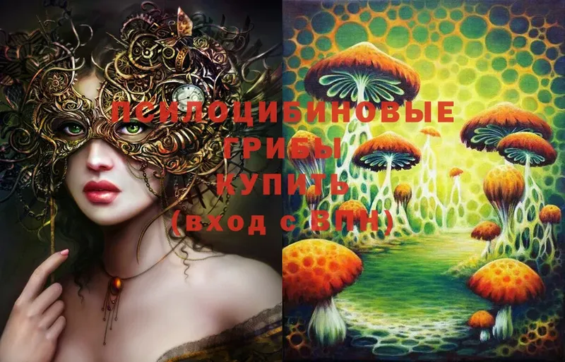 Галлюциногенные грибы Psilocybe  где можно купить   Каменск-Уральский 